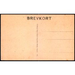 Bornholm - Sildene tilberedes - Colbergs Boghandel 615