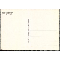 Nakskov - Theisens Gaard - Stender 49 308/8 - Ubrugt