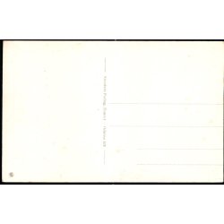 Odense - Fra L�seforeningens Have - Stender O. 478 - Ubrugt