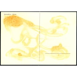 M�nterg�rden - Odense - O.P.O. 6921 - 2 - Ubrugt