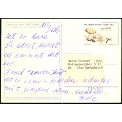 Ilulissat in teh winter time - Digo 99005 - Brugt