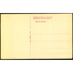 Aarhus - Den jydske F�dselsanstalt - O.J. 170 - Ubrugt