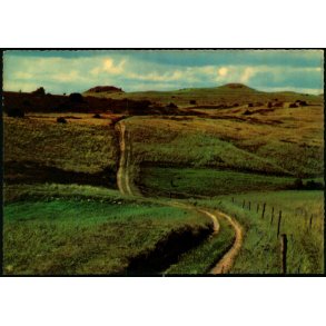 Treh�je - Mols Bjerge - L. Chr. Hansen 99057 - Ubrugt