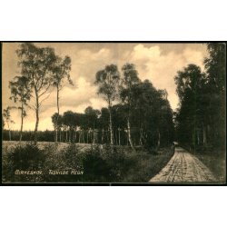 Birkeskov - Tisvilde Hegn - A. Jensens Bogh. u/n - Ubrugt