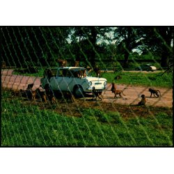Knuthenborg Safari Park - Lolland - L.F. papirforsyning 143 307 018 - Ubrugt