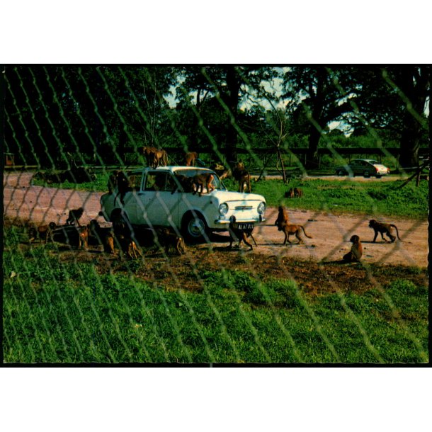 Knuthenborg Safari Park - Lolland - L.F. papirforsyning 143 307 018 - Ubrugt