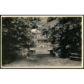 Odense - Fra L�seforeningens Have - Stender O. 478 - Ubrugt