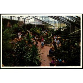 Jesperhus Blomsterpark - 9107/92 - Ubrugt