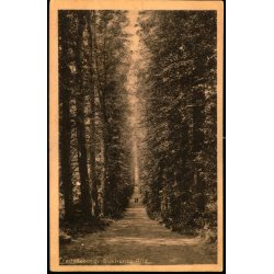 Fredensborg - Sukkenes All - W. Levy 6249