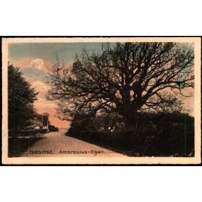 Taasinge - Ambrosius- Egen - Stender T.  37 - Ubrugt