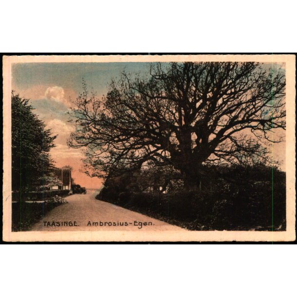 Taasinge - Ambrosius- Egen - Stender T.  37 - Ubrugt