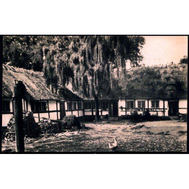 Tisvilde - Fogedgaarden - Rudolf Olsen 2333 - Ubrugt