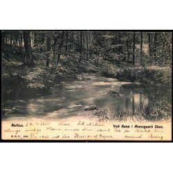 Aarhus - Ved Aaen i Moesgaard Skov - H.H.O. 1946 - Brugt