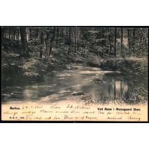 Aarhus - Ved Aaen i Moesgaard Skov - H.H.O. 1946 - Brugt