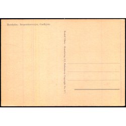 Bornholm - Serpentinervejen - Gudhjem - Rudolf Olsen 877 - Ubrugt