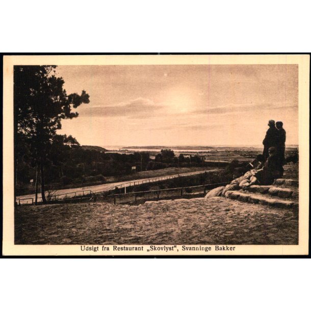 Udsigt fra Restaurant "Skovlyst" Svanninge Bakker - M. Mikkelsen 87 - Ubrugt