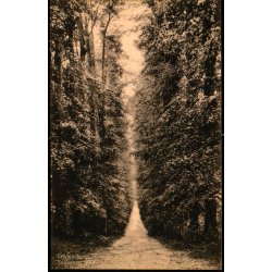 Fredensborg - Sukkenes All - S. Nielsen 43678