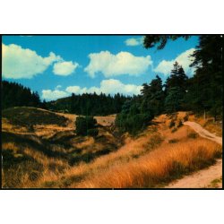 Mols Bjerge - Daaleren - Elles Offset 594 - Ubrugt