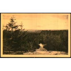 Fr�bjerg Bakke i  Tisvilde Hegn - K. Poulsens Bogh. 565 - Ubrugt