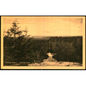 Fr�bjerg Bakke i  Tisvilde Hegn - K. Poulsens Bogh. 565 - Ubrugt