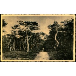 Tisvilde Hegn - Troldeskoven - Rudolf Olsen 349 - Ubrugt