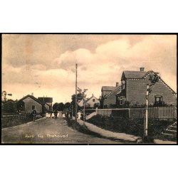 Parti fra Orehoved - 25462 - Brugt