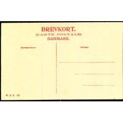 Brahe -Trolleborg - W.K.F. 724 - Ubrugt