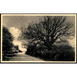 Taasinge - Ambrosius- Egen - Stender S.  37 - Ubrugt