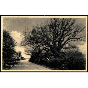 Taasinge - Ambrosius- Egen - Stender S.  37 - Ubrugt