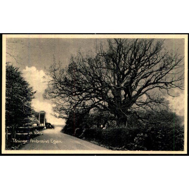 Taasinge - Ambrosius- Egen - Stender S.  37 - Ubrugt