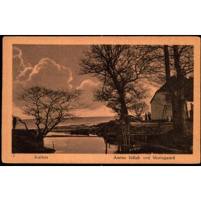 Aarhus - Aaens udl�b ved Moesgaard Skov - Poul Friis 19 - Ubrugt