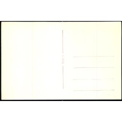 Vandrehjemmet - "Aabo" - Silkeborg - Fotokort Pors 1024 - Ubrugt