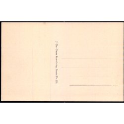 Kbenhavn - Raadhustaarnet set fra V. Voldgade - Chr. Olsen 266