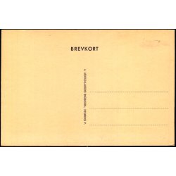 Nyk�bing F. - Lilletorv - A. Arnold-Larsens Bogh.  u/n - Ubrugt