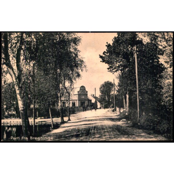 Parti ved Bregninge - Mackeprangs Bogh. 36602 - Ubrugt