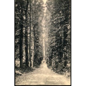 Fredensborg - Sukkenes All - Stender 6249