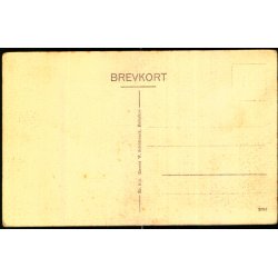 Mindesm�rket over de faldne paa Gl. Haderslev Kirkegaard - W. Sch�tzack 519 - Ubrugt