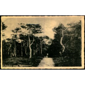 Tisvilde Hegn - Troldeskoven - Rudolf Olsen 349 - Brugt