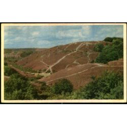 Rebild National Park - Stender 5 - Ubrugt