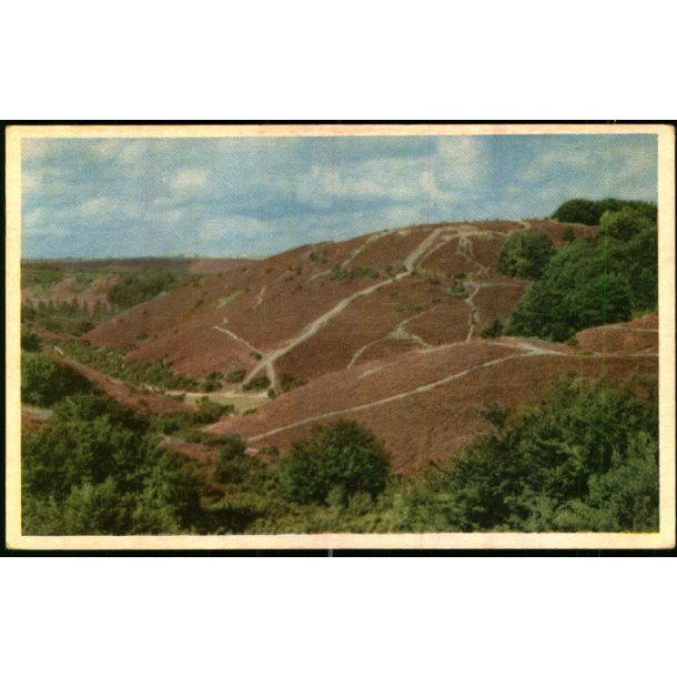 Rebild National Park - Stender 5 - Ubrugt