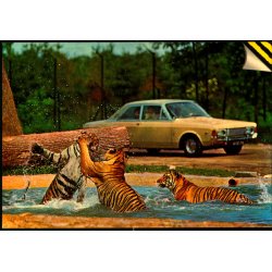 Knuthenborg Safari Park - Top Card KN 1 - Ubrugt