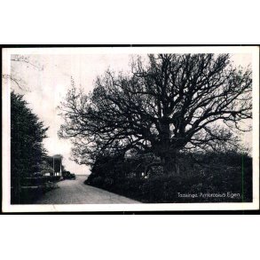 Taasinge - Ambrosius- Egen - Stender S.  37 - Ubrugt