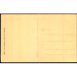 Gadeparti fra det gamle Helsing�r - E. Str�mberg 210990 - Ubrugt