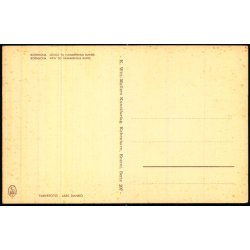 Bornholm - Udsigt til Hammershus Ruiner - K. Wiit - M�ller Serie 207 - Ubrugt