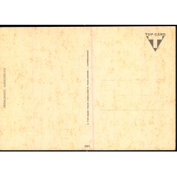 K�benhavn - Domkirken (Vor Frue Kirke) - Gr�nlund 6301 - Ubrugt