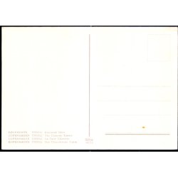 Kbenhavn - Tivoli - Kinesiske Taarn - Krger 989/15