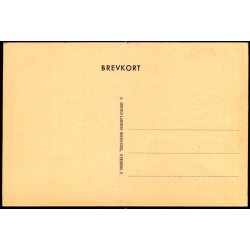 Nyk�bing F. - Torvet - A. Arnold-Larsens Bogh.  u/n - Ubrugt