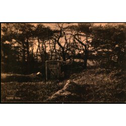 Helene Grav - S. Nielsen 51168 - Ubrugt