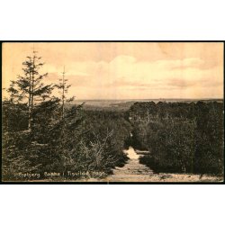 Fr�bjerg Bakke i  Tisvilde Hegn - K. Poulsens Bogh. 27 - Brugt