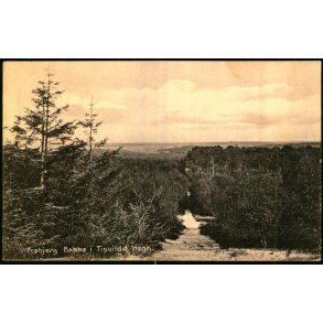 Fr�bjerg Bakke i  Tisvilde Hegn - K. Poulsens Bogh. 27 - Brugt